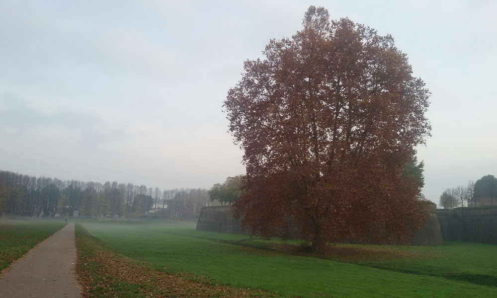 Società di Cremazione di Lucca