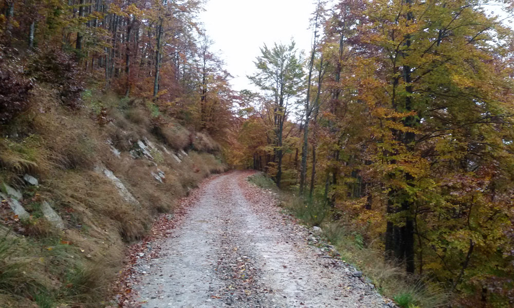 Società di Cremazione di Lucca